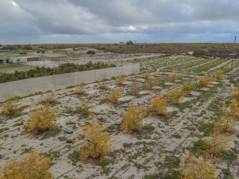 Aerial view of a small holding property featuring an orchard area, perimeter wall, and irrigation infrastructure set within a rural landscape.