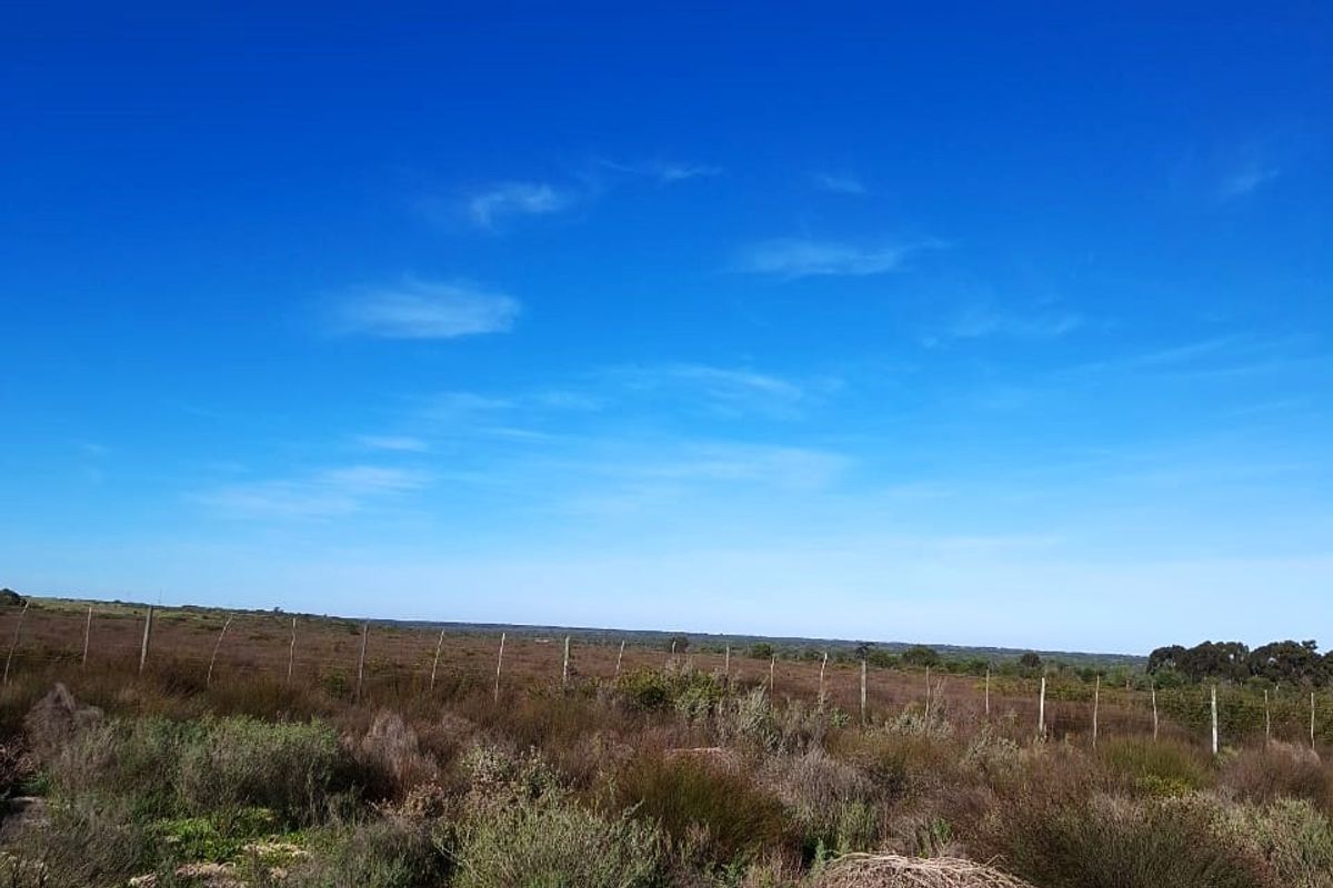 Tranquil Cul-de-Sac Stand with Nature Reserve Views – Hopefield - Photo 5