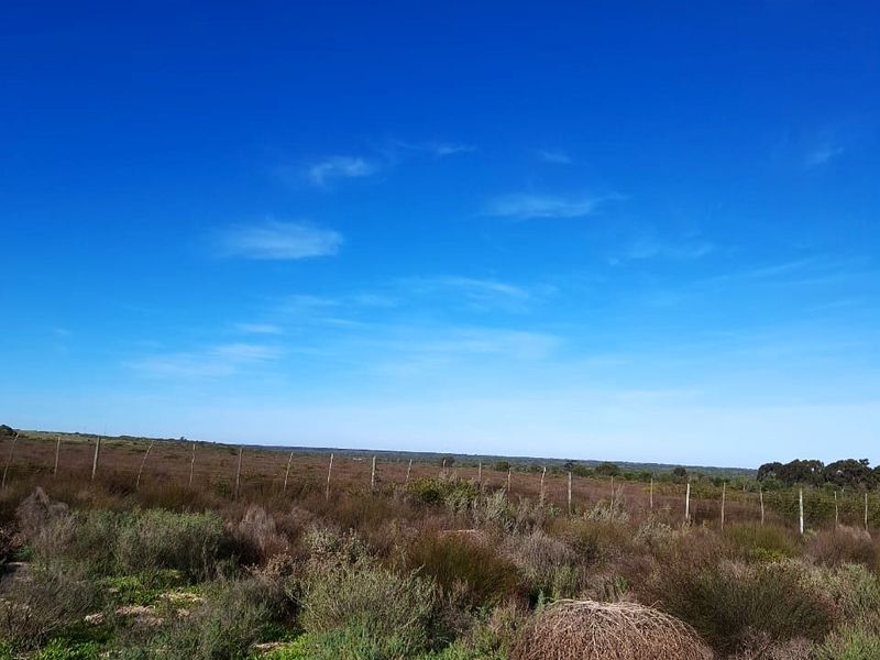 Tranquil Cul-de-Sac Stand with Nature Reserve Views – Hopefield - Photo 5