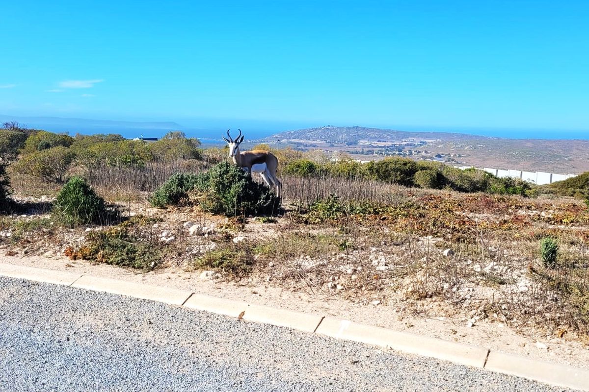 Build Your Dream Home with Ocean, Lagoon, and Bay Views - Photo 4