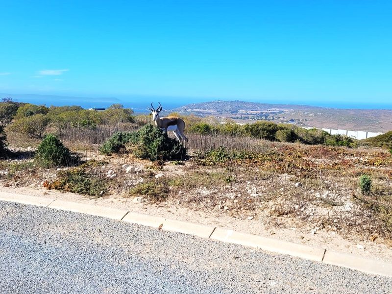 Build Your Dream Home with Ocean, Lagoon, and Bay Views - Photo 4