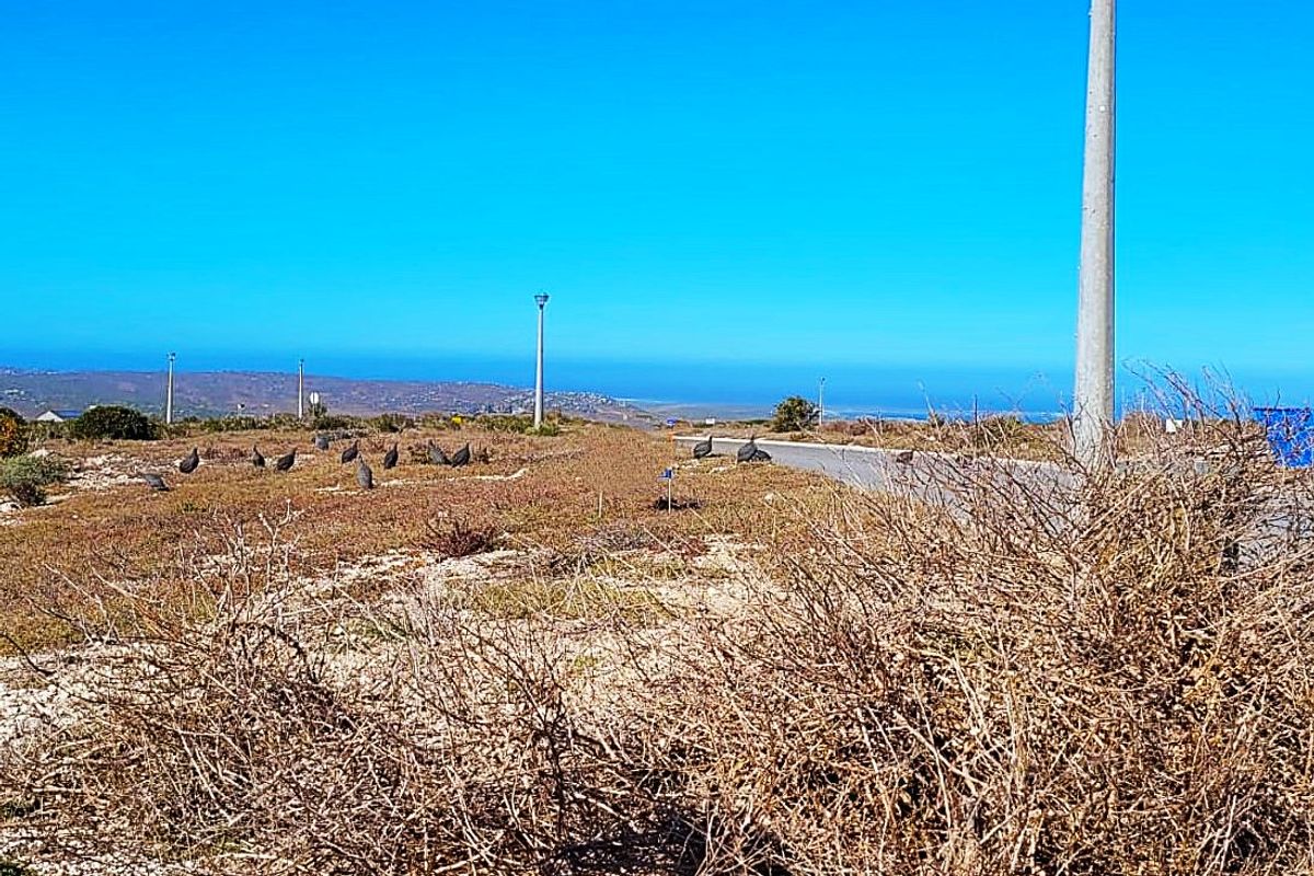 Build Your Dream Home with Ocean, Lagoon, and Bay Views - Photo 5