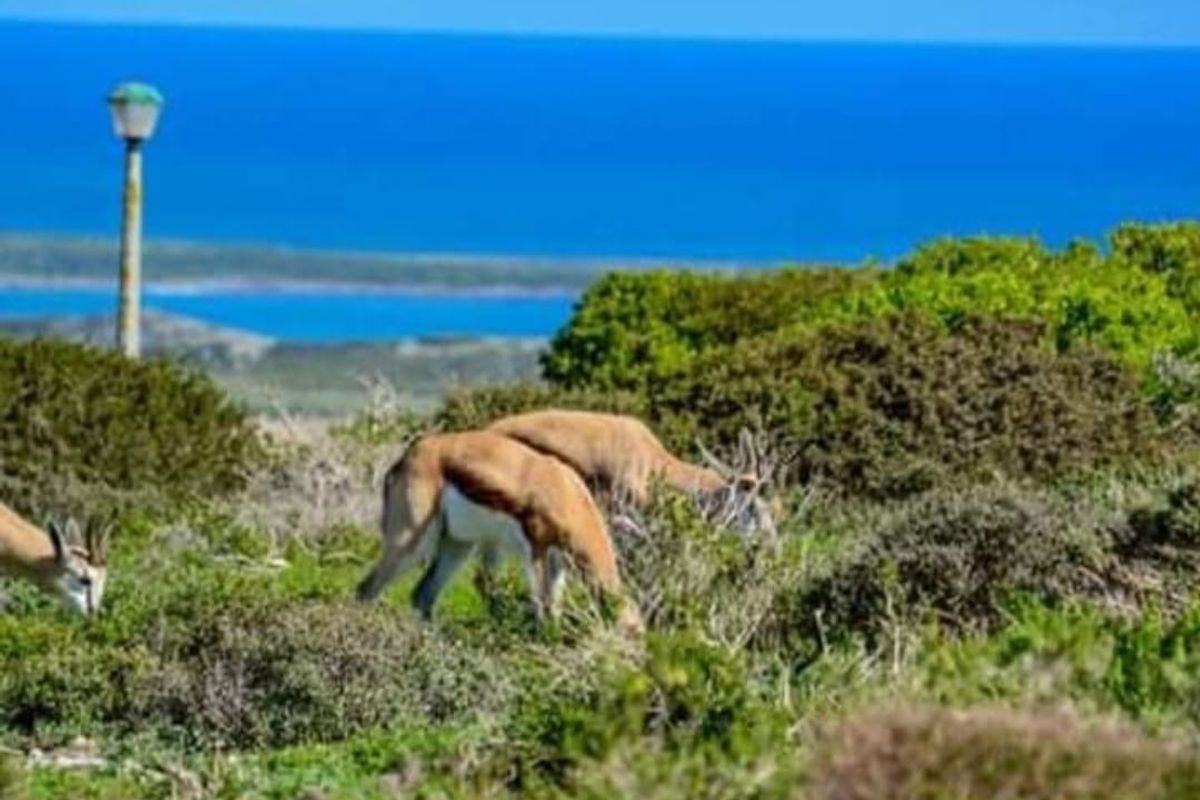 Build Your Dream Home with Ocean, Lagoon, and Bay Views - Photo 3