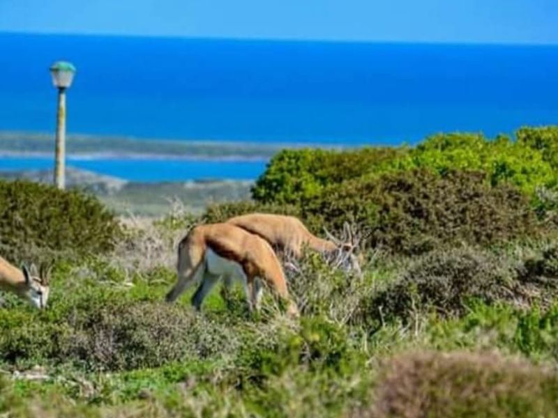 Build Your Dream Home with Ocean, Lagoon, and Bay Views - Photo 3