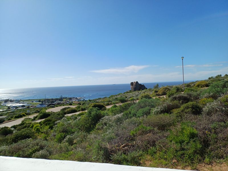 A scenic coastal view overlooking the ocean, surrounding landscape, and local neighborhood infrastructure.