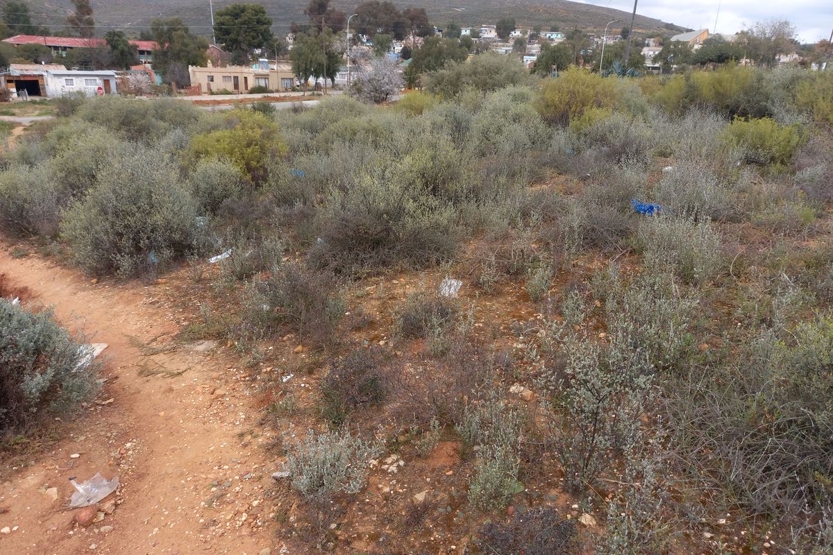 A view of an undeveloped residential plot featuring native shrubs and natural terrain, situated in a suburban neighborhood setting.
