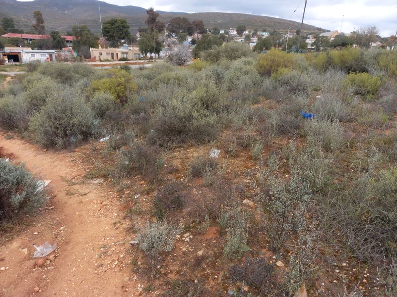 A view of an undeveloped residential plot featuring native shrubs and natural terrain, situated in a suburban neighborhood setting.