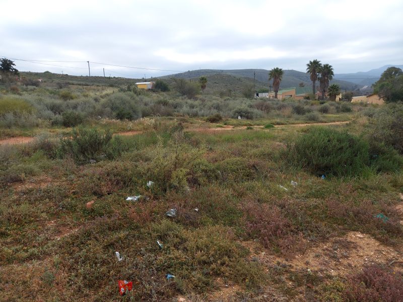 A vacant residential plot featuring natural scrub vegetation, overhead power lines, and distant mountain views in a quiet rural setting.