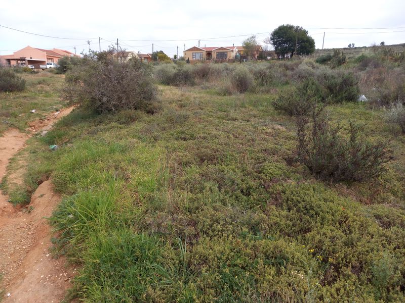 A view of an undeveloped residential plot featuring natural vegetation and surrounding neighborhood homes.