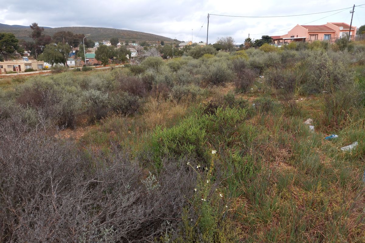 A vacant residential plot featuring natural vegetation and overhead power lines, situated in a developed neighborhood setting.