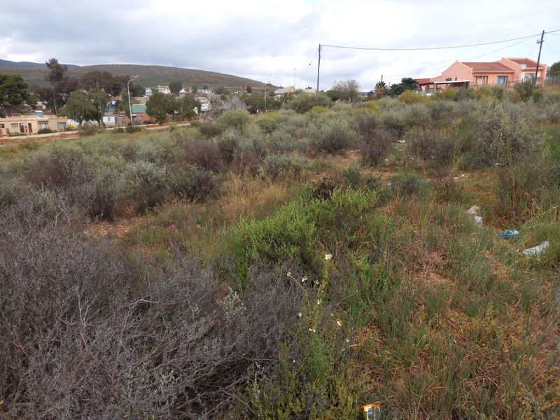 A vacant residential plot featuring natural vegetation and overhead power lines, situated in a developed neighborhood setting.