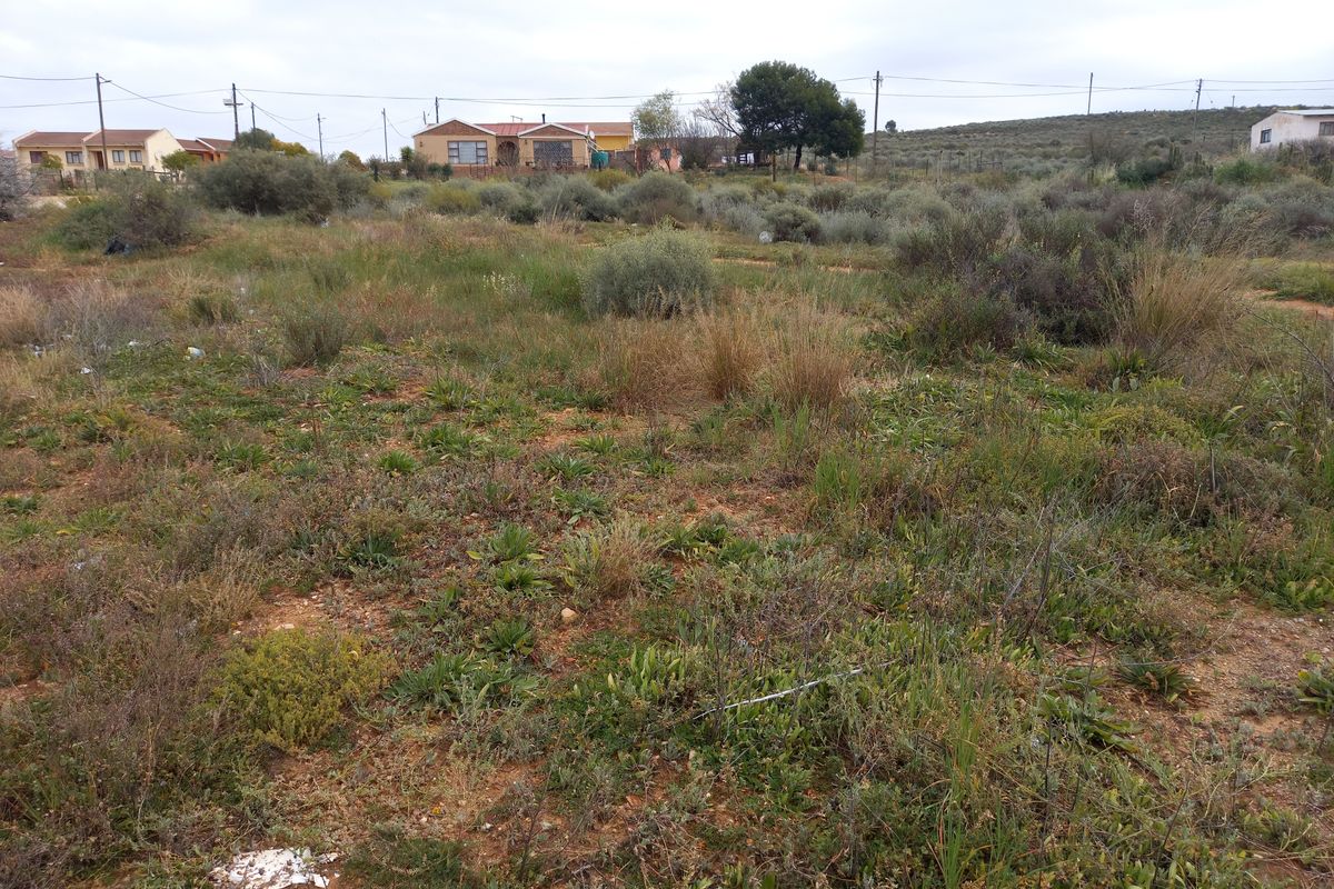 A view of a vacant residential plot featuring natural vegetation, surrounding neighborhood houses, and overhead utility lines.
