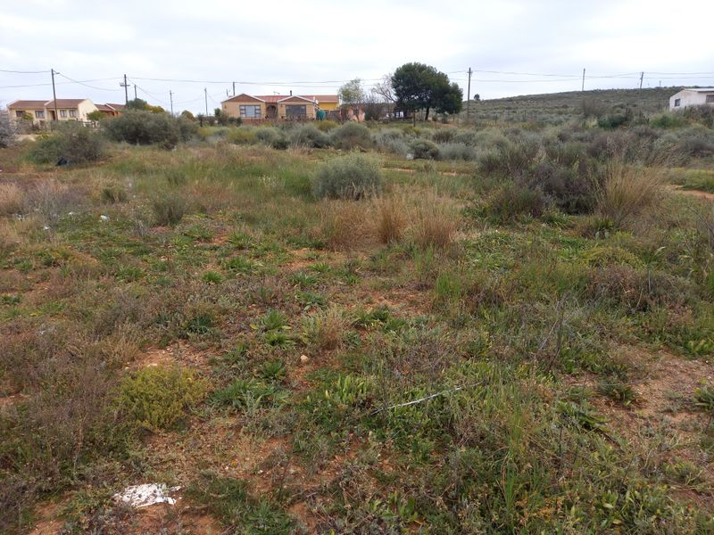 A view of a vacant residential plot featuring natural vegetation, surrounding neighborhood houses, and overhead utility lines.