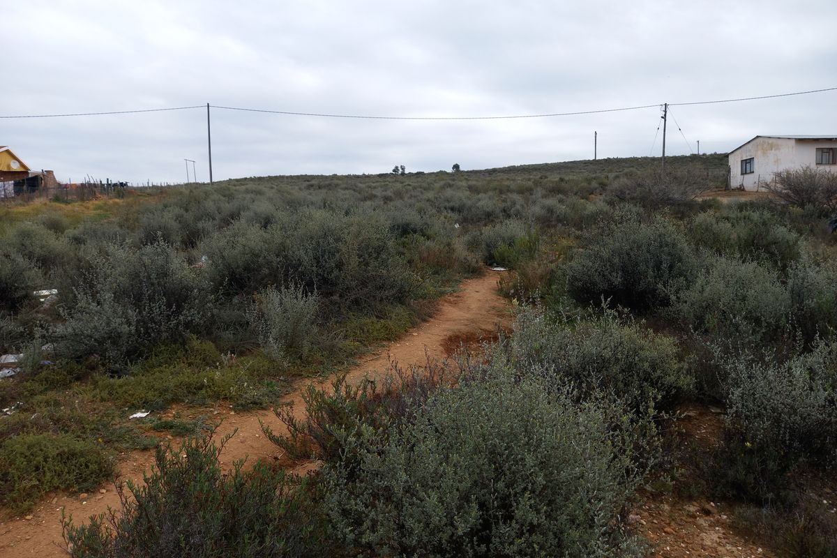 A view of a vacant residential plot featuring native shrubbery, a dirt pathway, and surrounding neighborhood infrastructure.