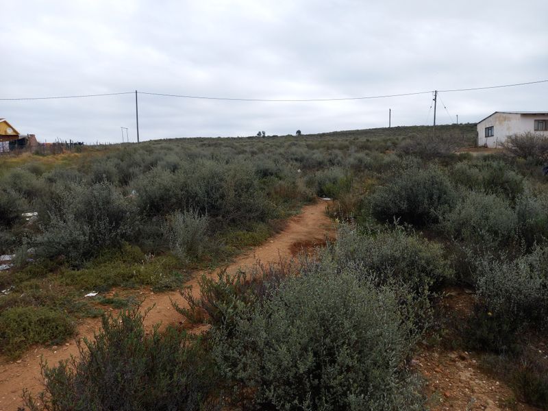 A view of a vacant residential plot featuring native shrubbery, a dirt pathway, and surrounding neighborhood infrastructure.
