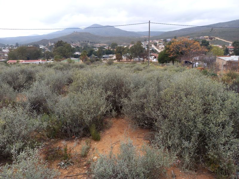 A view of the vacant residential land featuring native shrubbery with a backdrop of the surrounding town and mountain landscape.