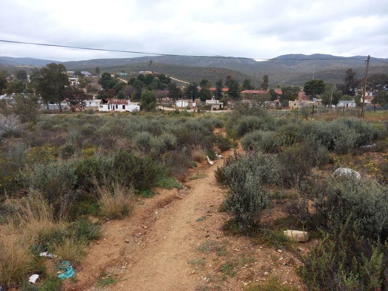 A view of the vacant residential land featuring natural vegetation, a dirt path, and surrounding neighborhood landscape under an overcast sky.
