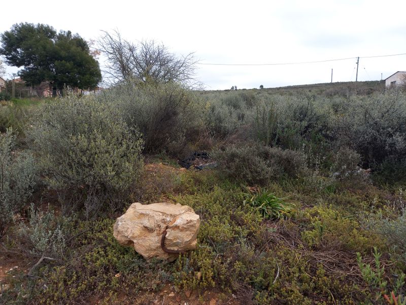 A view of a vacant residential plot featuring native shrubs and natural terrain, suitable for future development.