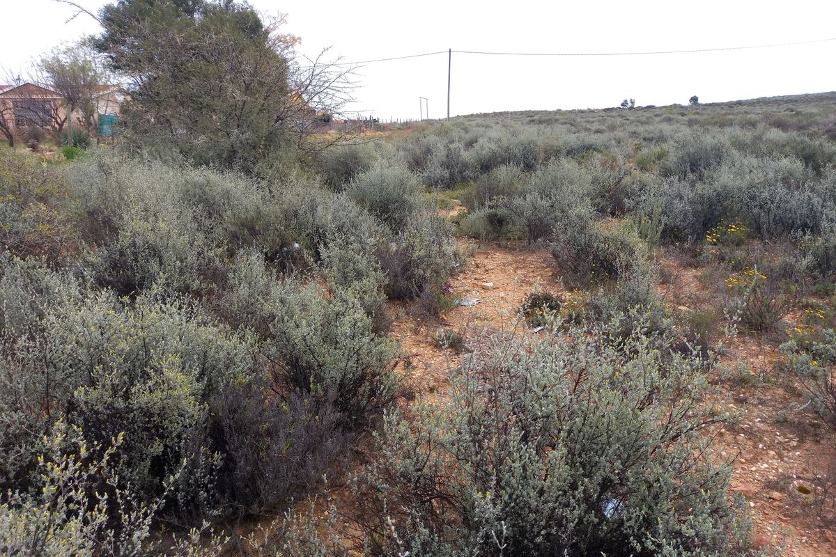 A view of a vacant residential plot featuring native shrubbery and natural terrain with overhead power lines visible in the background.