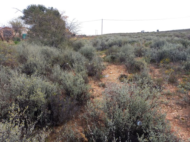 A view of a vacant residential plot featuring native shrubbery and natural terrain with overhead power lines visible in the background.