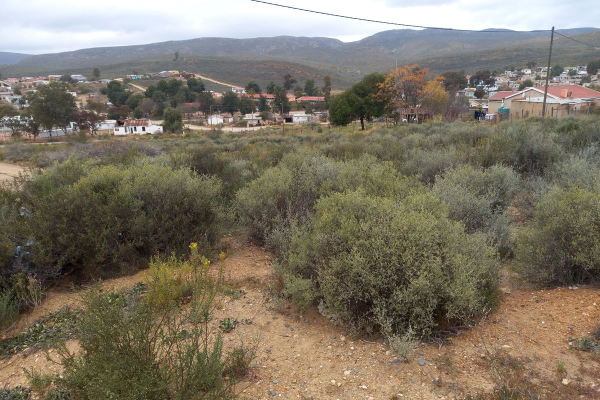 A view of a vacant residential plot featuring natural vegetation and sloped terrain with surrounding neighborhood and mountain views.