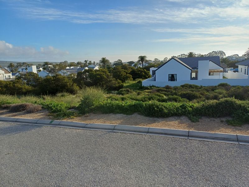 A street-level view of a vacant residential plot featuring native vegetation, with established neighboring homes visible in the background.