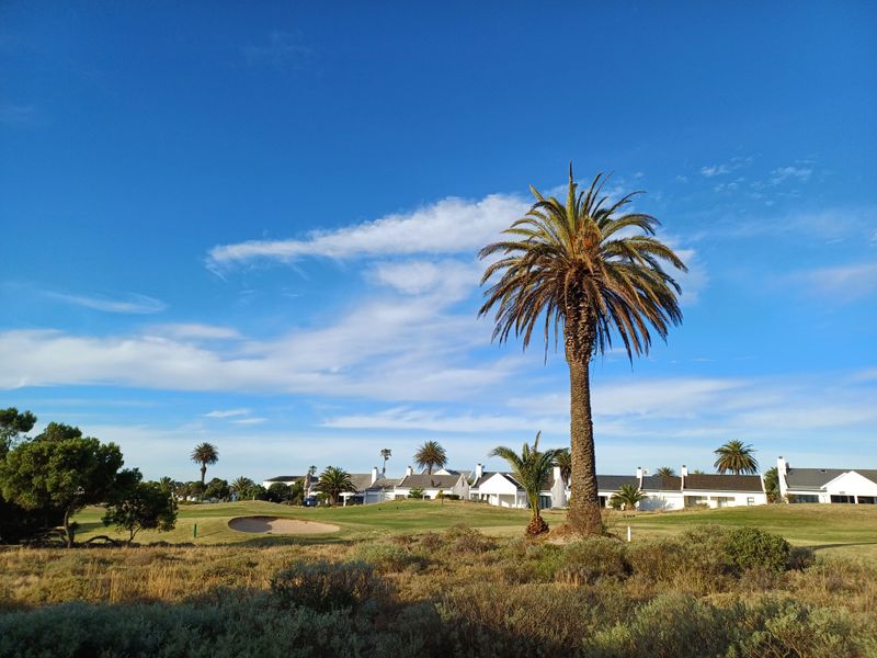 A scenic view of a well-maintained golf course with mature palm trees and residential properties in the background.