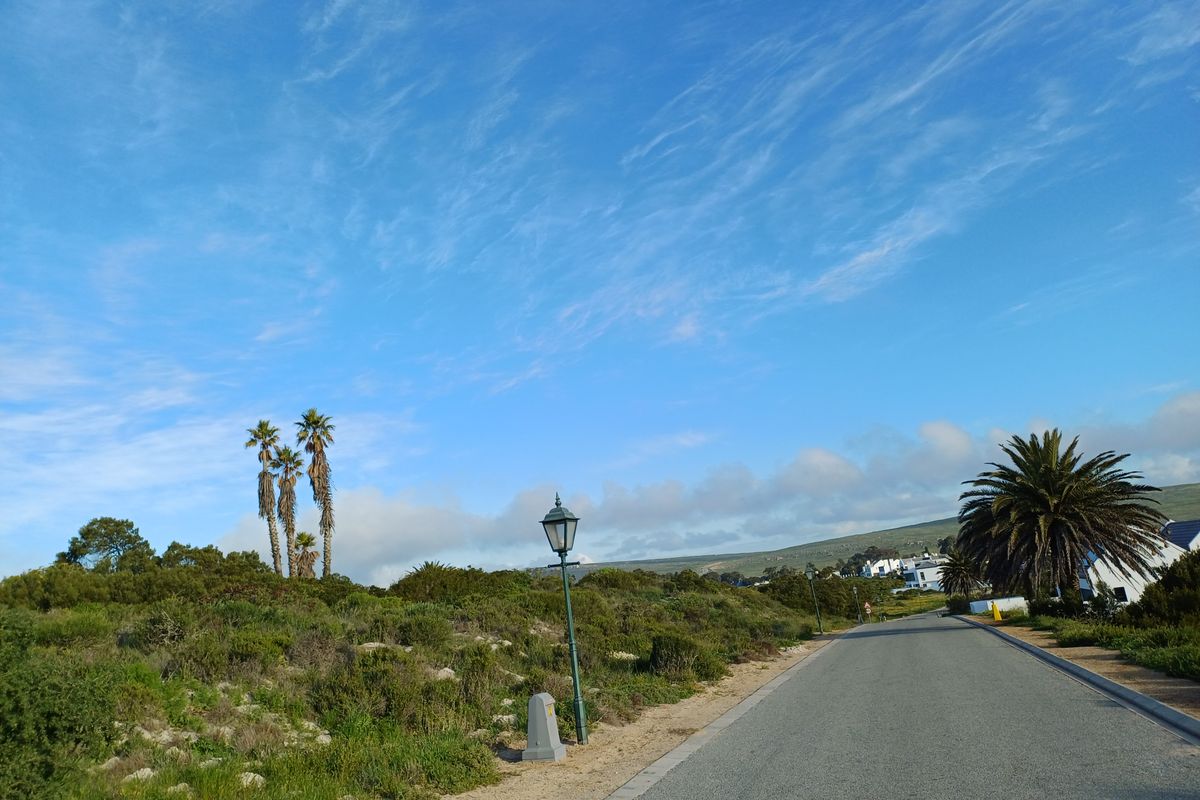 A view of a paved residential street with established landscaping, street lighting, and surrounding natural vegetation.