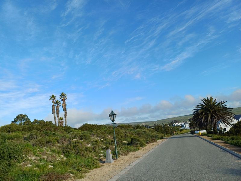 A view of a paved residential street with established landscaping, street lighting, and surrounding natural vegetation.