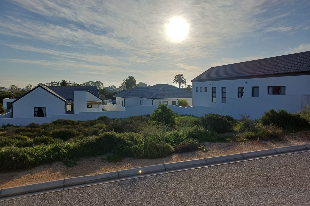 Street view of a residential area featuring modern homes with white walls and tiled roofs, situated behind a boundary wall with native landscaping.