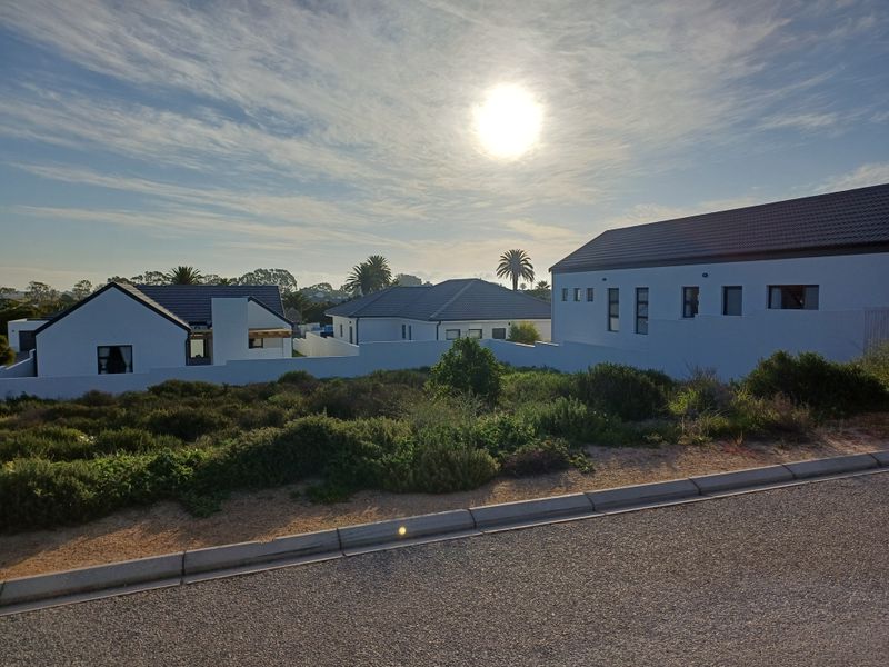 Street view of a residential area featuring modern homes with white walls and tiled roofs, situated behind a boundary wall with native landscaping.