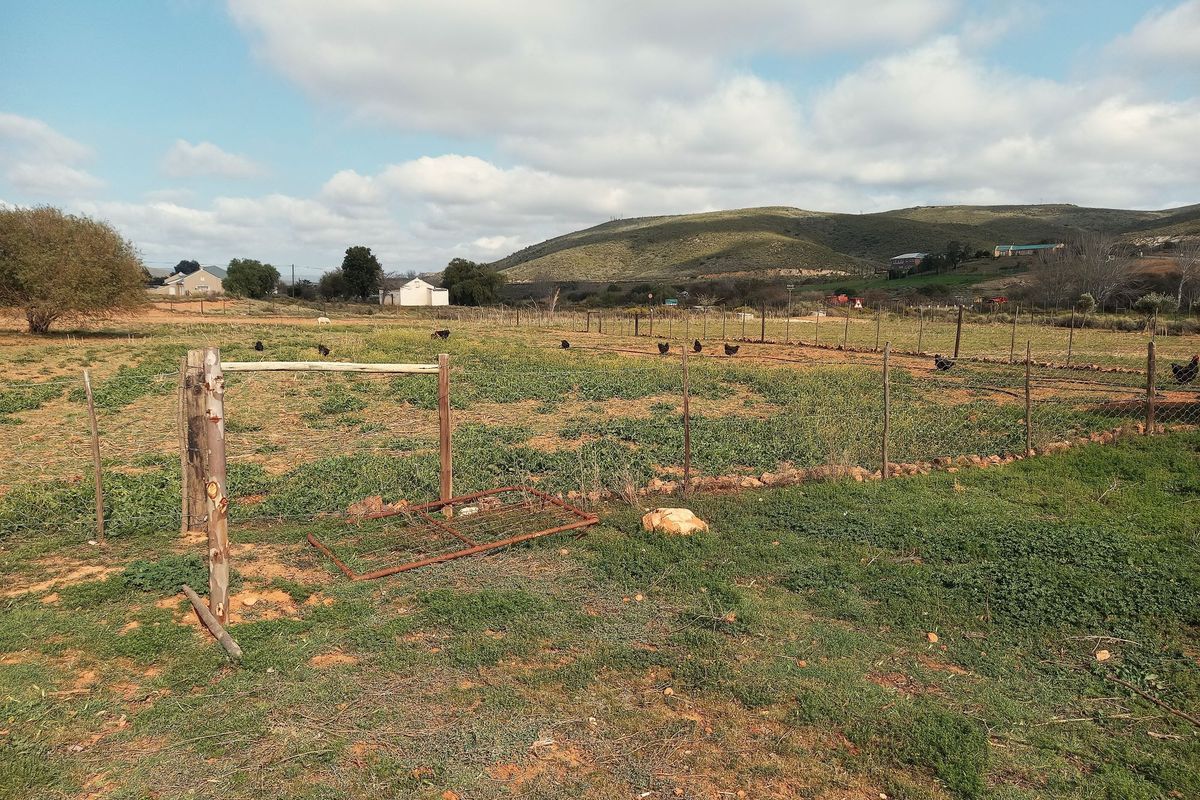 Smallholding of 1.2ha with 3 bedroom house with Studio flat for sale in Uniondale Western Cape - Photo 4