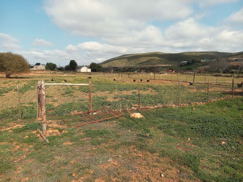 Smallholding of 1.2ha with 3 bedroom house with Studio flat for sale in Uniondale Western Cape - Photo 4