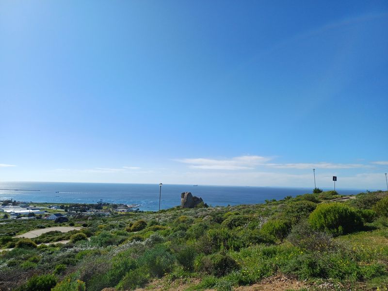 A scenic elevated view overlooking the coastline, natural vegetation, and distant ocean horizon from the vacant residential land.