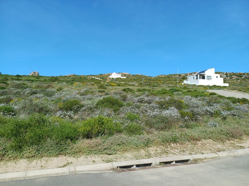A view of a vacant residential plot featuring natural coastal vegetation, with established neighboring properties visible in the distance.