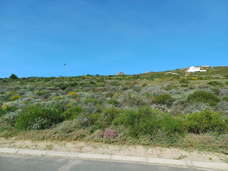 A view of a sloped, undeveloped residential plot covered in natural coastal vegetation, bordering a paved street.