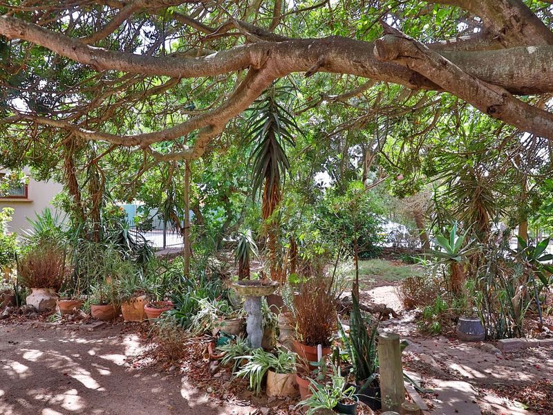 3-Bedroom Home with Dual Potential in the Heart of Vredenburg - Photo 6