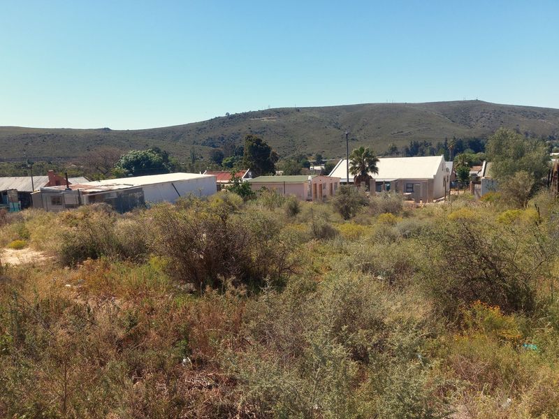 VACANT STAND FOR SALE IN UNIONDALE - WESTERN CAPE - 1000 SQUARE METRES - Photo 10