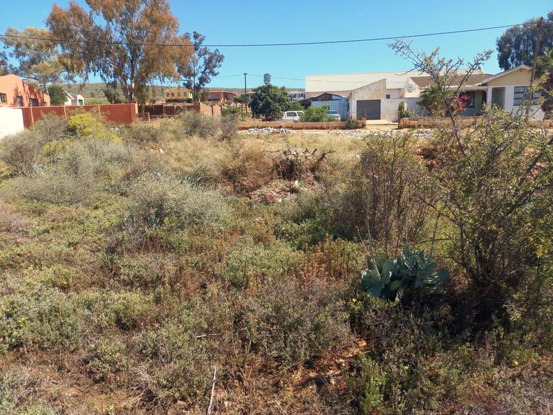 VACANT STAND FOR SALE IN UNIONDALE - WESTERN CAPE - 1000 SQUARE METRES - Photo 8