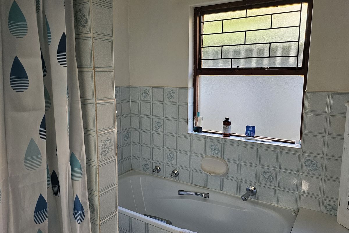 LARGE HOUSE WITH SPACIOUS FLAT - Photo 4
