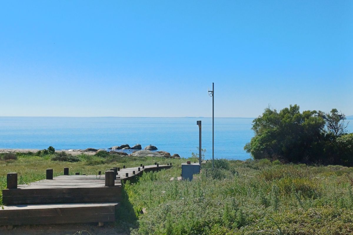 A scenic view of the coastline featuring a wooden boardwalk leading towards the ocean, surrounded by natural coastal vegetation.