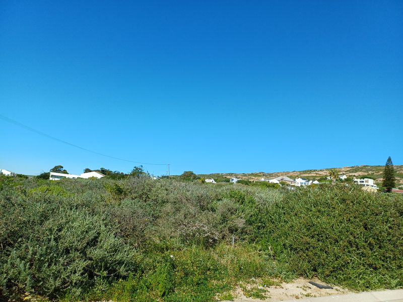A view of a vacant residential plot covered in native coastal vegetation with surrounding neighborhood homes visible in the distance.