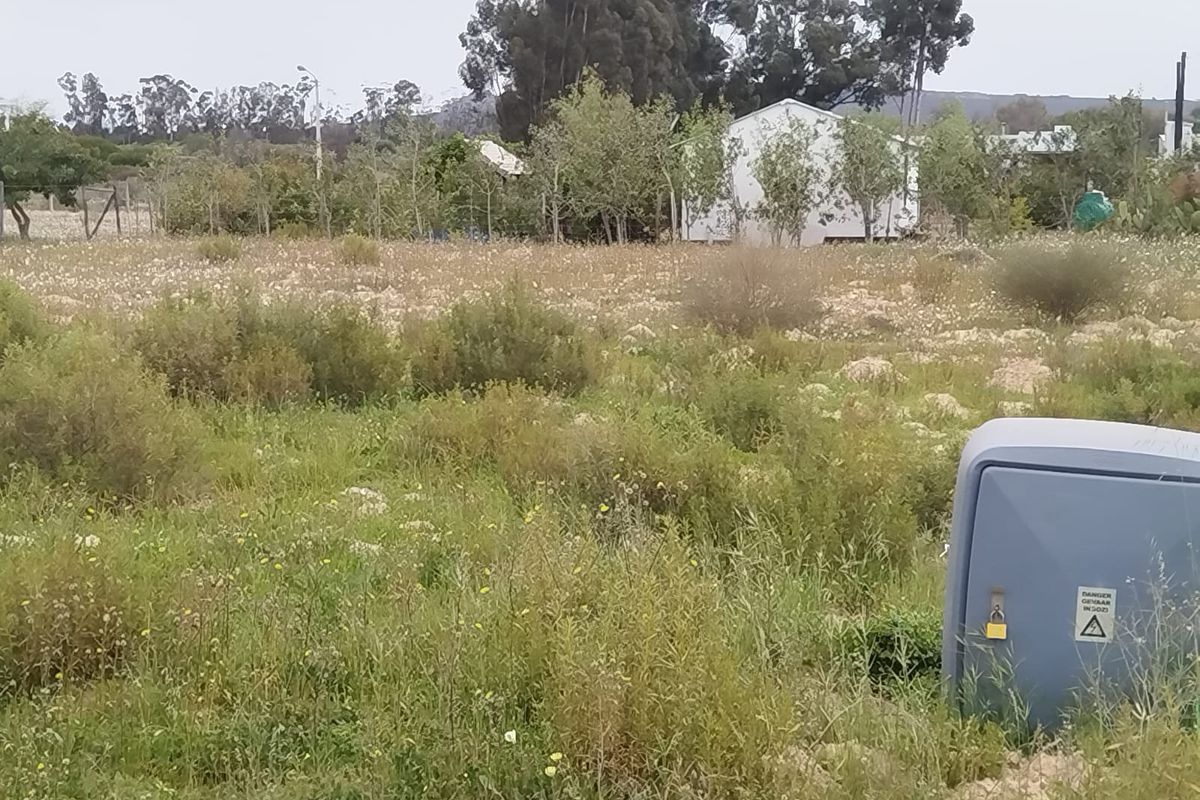 A view of a vacant residential plot featuring natural vegetation and an installed electrical utility box.