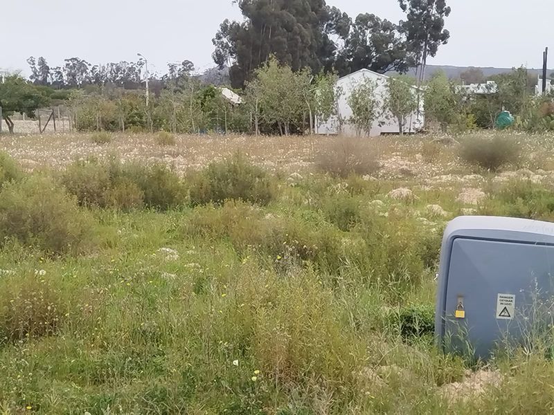 A view of a vacant residential plot featuring natural vegetation and an installed electrical utility box.