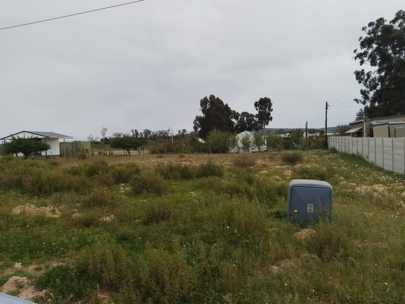 A vacant residential plot featuring natural vegetation, a precast concrete boundary wall, and an existing electrical utility connection point.