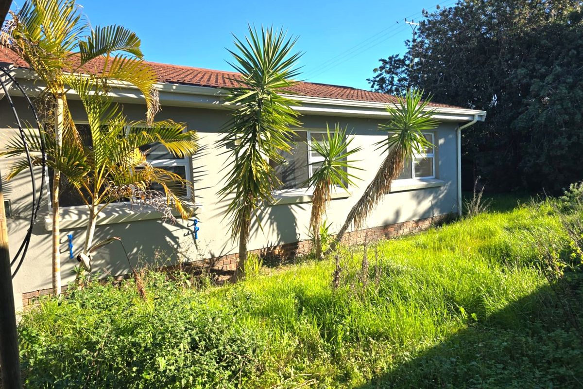 Rear exterior view of the house featuring a tiled roof, aluminium window frames, and a large, overgrown garden area.
