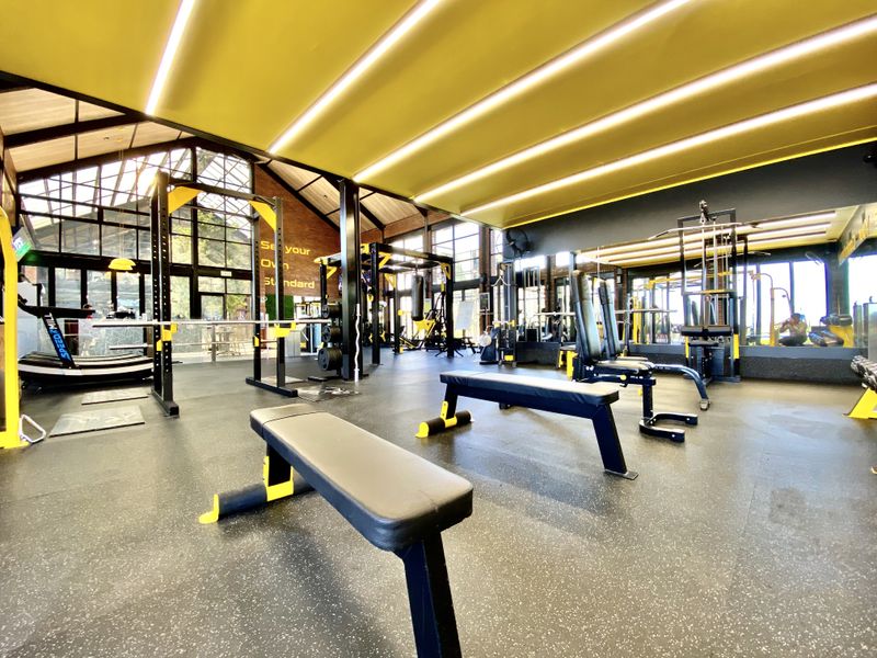 Modern, well-equipped gym facility featuring high ceilings with linear lighting, large glass windows, and professional rubberized flooring.