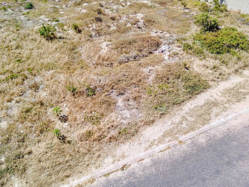 Discover Coastal Living at Its Best in Blouwater Bay - Photo 7