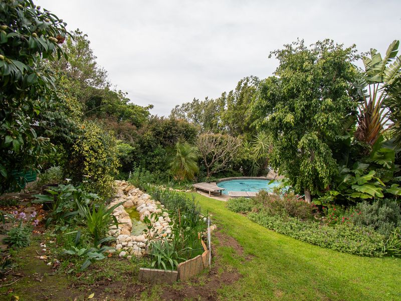 A lush, landscaped garden featuring a swimming pool and a decorative rock-lined water feature, offering a serene outdoor environment.