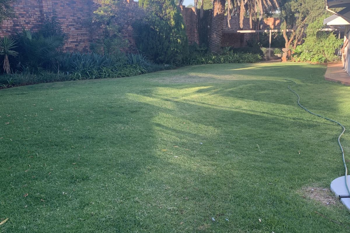 A spacious, well-maintained private garden featuring a large lawn, mature palm tree, and secure brick boundary wall.